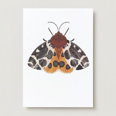 Carte de voeux de papillon d'insecte de papillon de bulbes