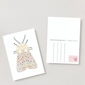 Carte de voeux de papillon blanc 3