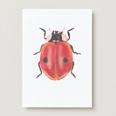 Ladybug insects greeting card