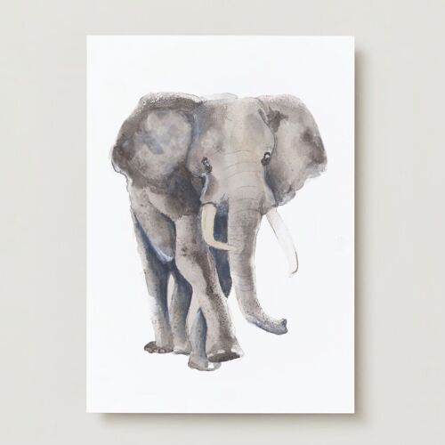 Elephant animals greeting card