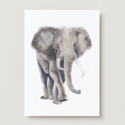 Tarjeta de felicitación de animales elefante.