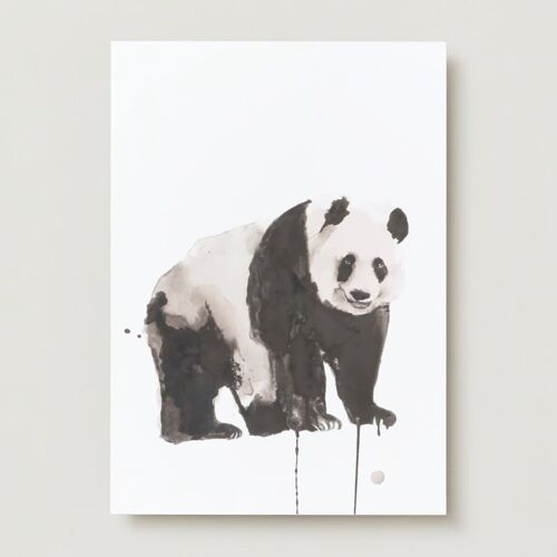 Panda animals greeting card
