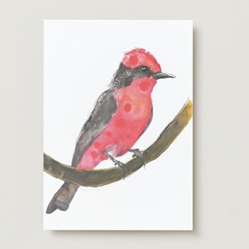 Oiseau tropical rouge Carte de voeux 1