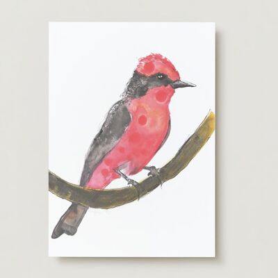 Cartolina d'auguri rossa dell'uccello tropicale