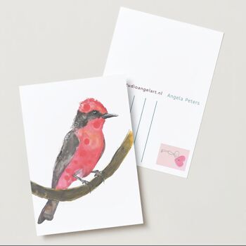 Oiseau tropical rouge Carte de voeux 2