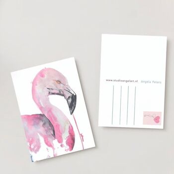 Carte de voeux oiseau tropical flamant rose 3