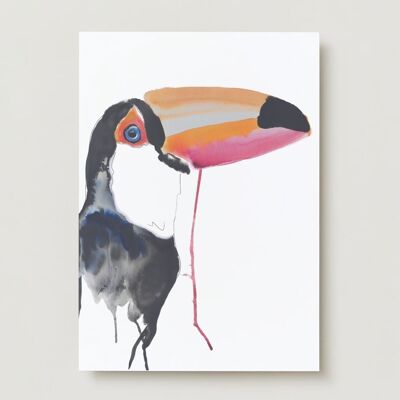 Cartolina d'auguri dell'uccello tropicale Tucano