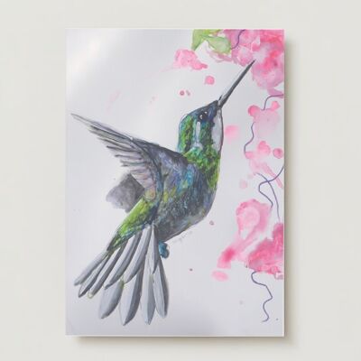 colibrì uccello tropicale Biglietto d'auguri