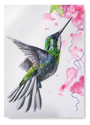 colibri oiseau tropical Carte de vœux 4