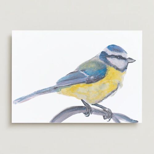 Blue tit bird Greeting card