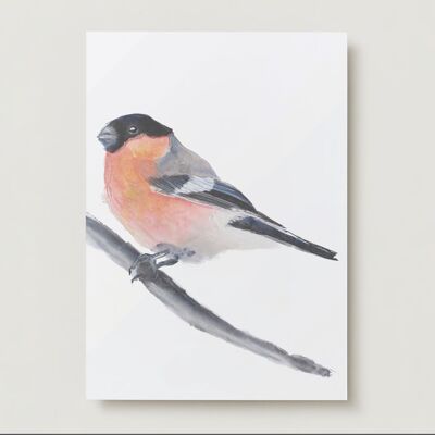 Bullfinch bird Greeting card