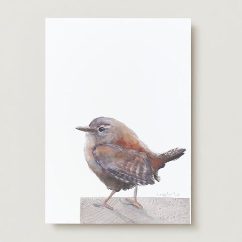 Wren bird Greeting card