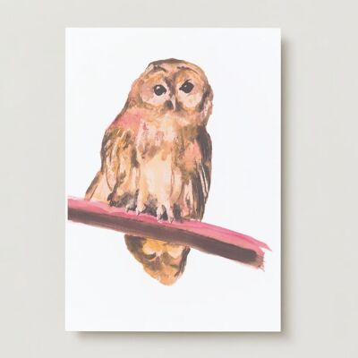 Carte de voeux oiseau hibou