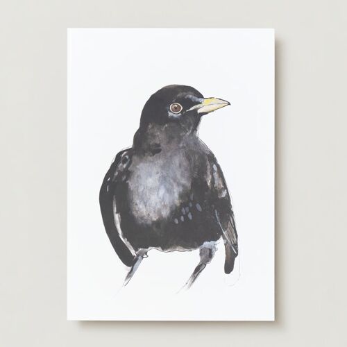 Blackbird bird Greeting card