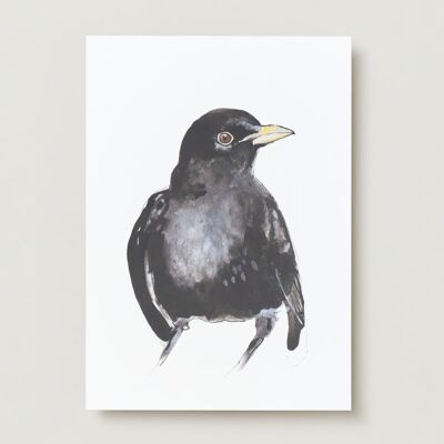 Amsel-Vogel-Grußkarte