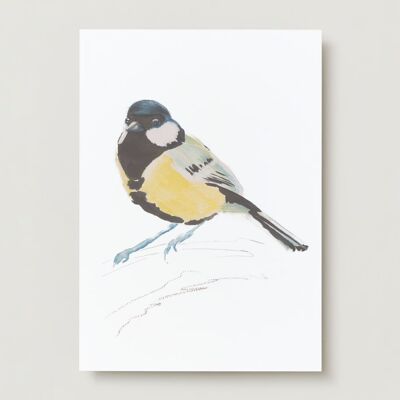 Great tit bird Greeting card