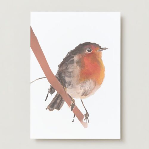 Robin Bird Greeting Card