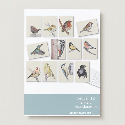 Bird Greeting cards set - 12 pieces