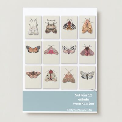 Moth Greeting Cards Set - 12 Pieces