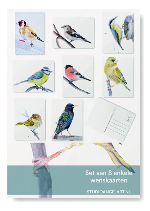 Native Bird greeting cards set - 8 pieces