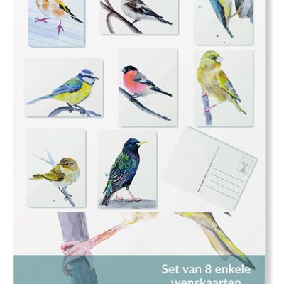 Native Bird-Grußkarten-Set – 8 Stück