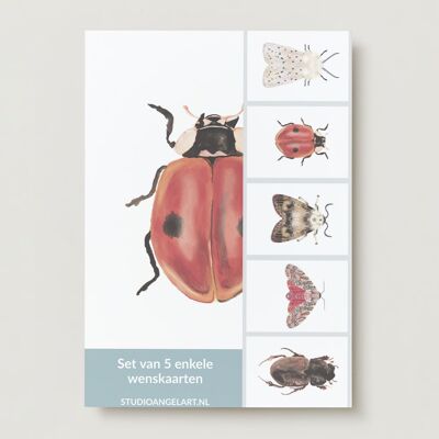 Set de tarjetas de felicitación Insectos -5 piezas