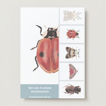 Ensemble de cartes de vœux Insectes -5 pièces 1