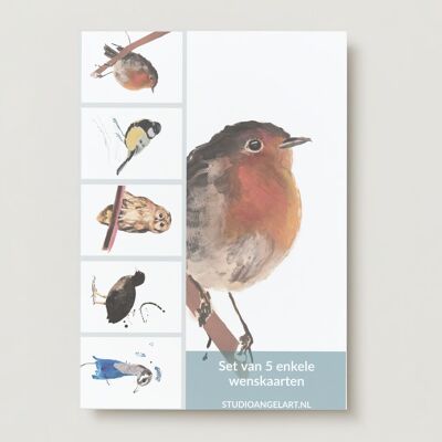 Bird Greeting cards set -5 pieces