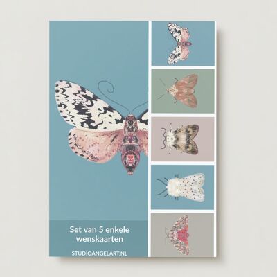 Moths Greeting cards set -5 pieces- Blank