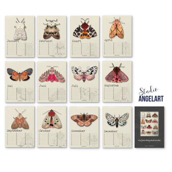 Calendrier d'anniversaire papillons de nuit, 12 cartes de vœux, stylo 2