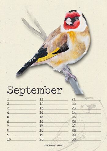 Calendrier d'anniversaire Oiseaux, 12 cartes de voeux, stylo - coffret cadeau 4