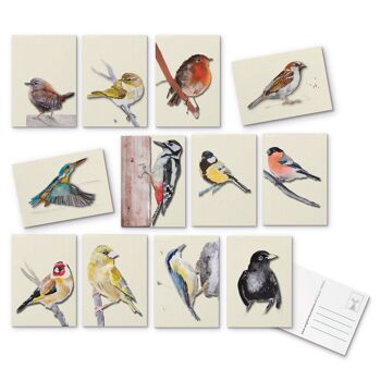 Calendrier d'anniversaire Oiseaux, 12 cartes de voeux, stylo - coffret cadeau 6
