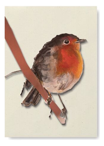 Calendrier d'anniversaire Oiseaux, 12 cartes de voeux, stylo - coffret cadeau 8