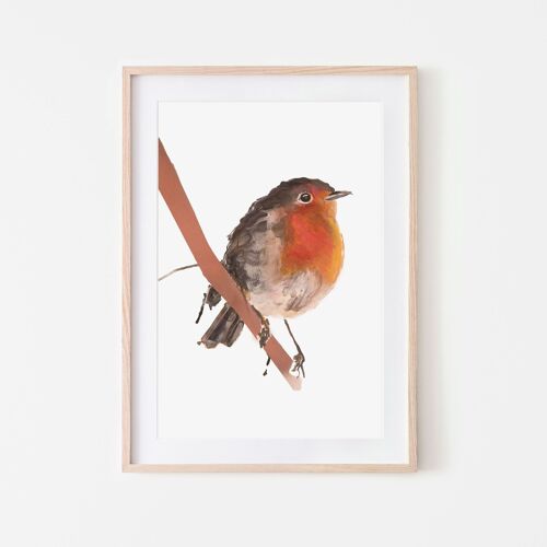 Robin bird print A3