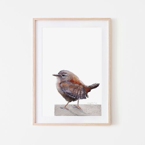 Wren Bird Print A3