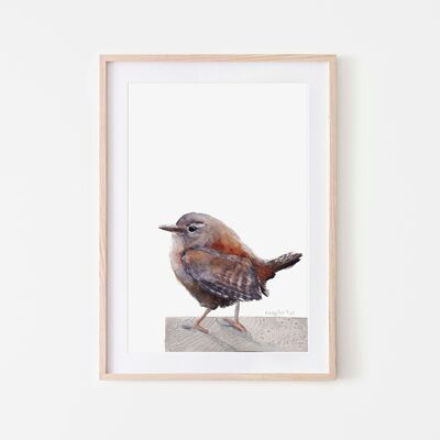Wren Bird Print A3