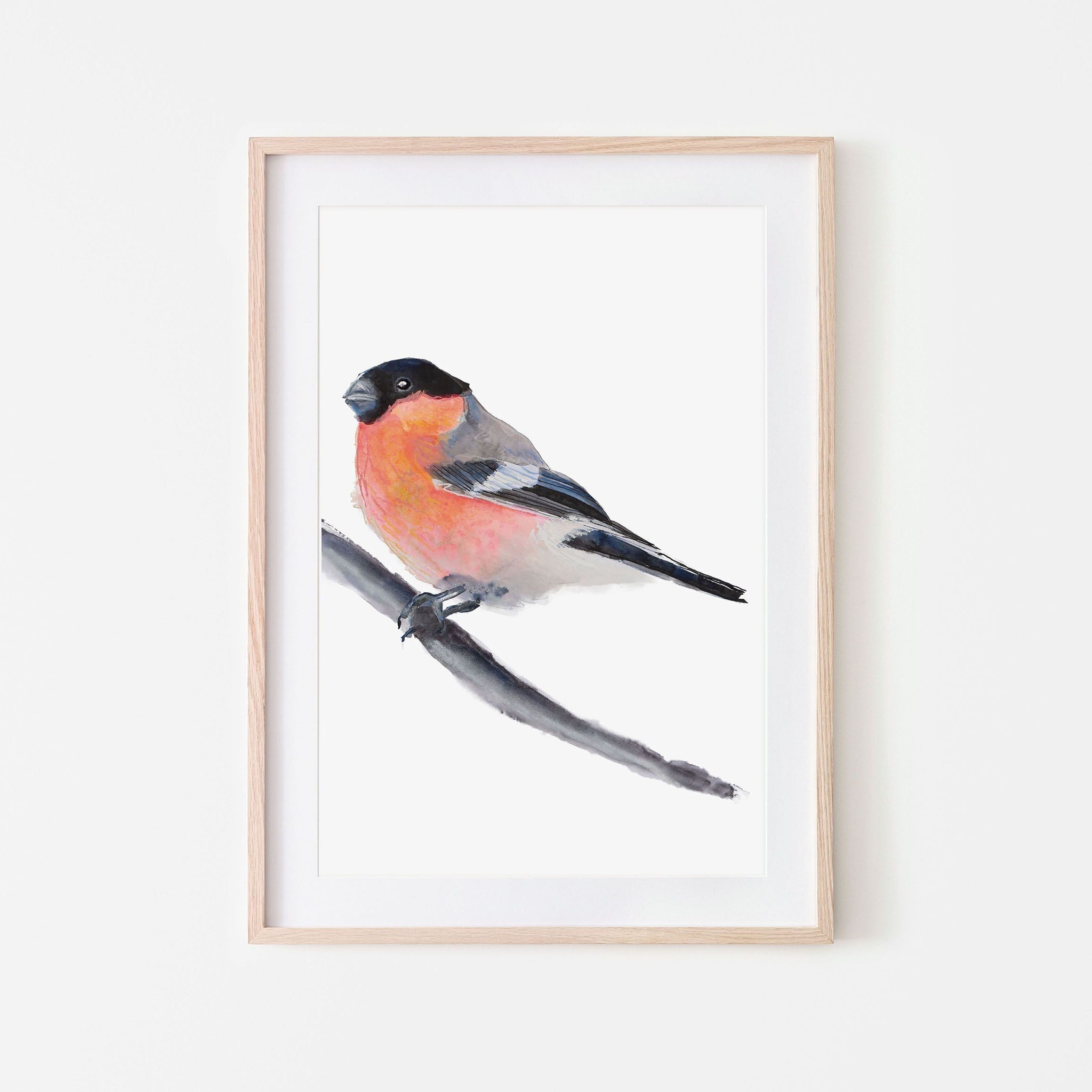 Stampa di uccelli ciuffolotto A3