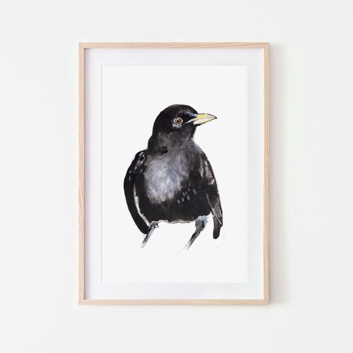 Blackbird Bird Print A3