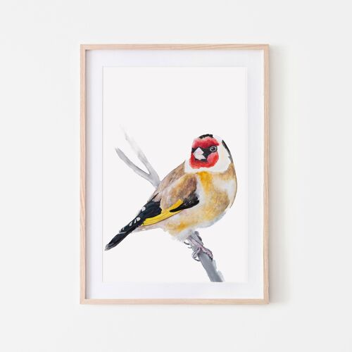 Goldfinch in Watercolor Painting Bird Print A3