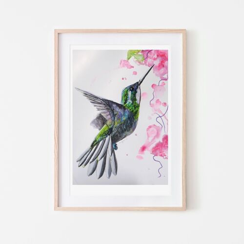 Hummingbird Tropical Bird Print A3