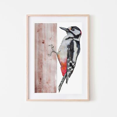 Spotted Woodpecker Bird Print A3
