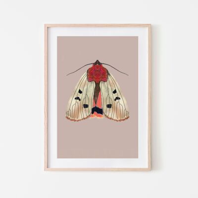 Beige moth insects moth print A3