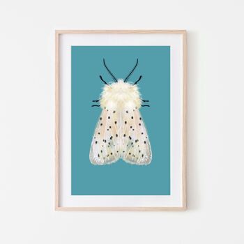 Papillon blanc sur fond coloré imprimé papillon de nuit insecte A3 1