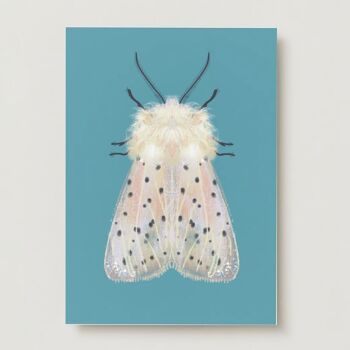 Papillon blanc sur fond coloré imprimé papillon de nuit insecte A3 4