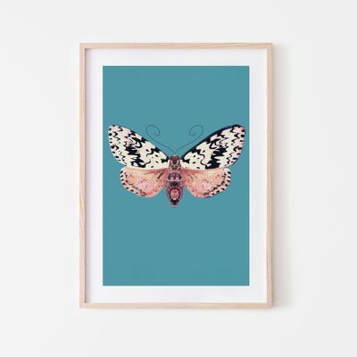 Speckled moth insect moth print A3