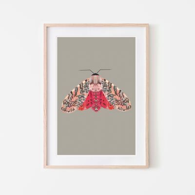 Pink red moth art print colored background A3