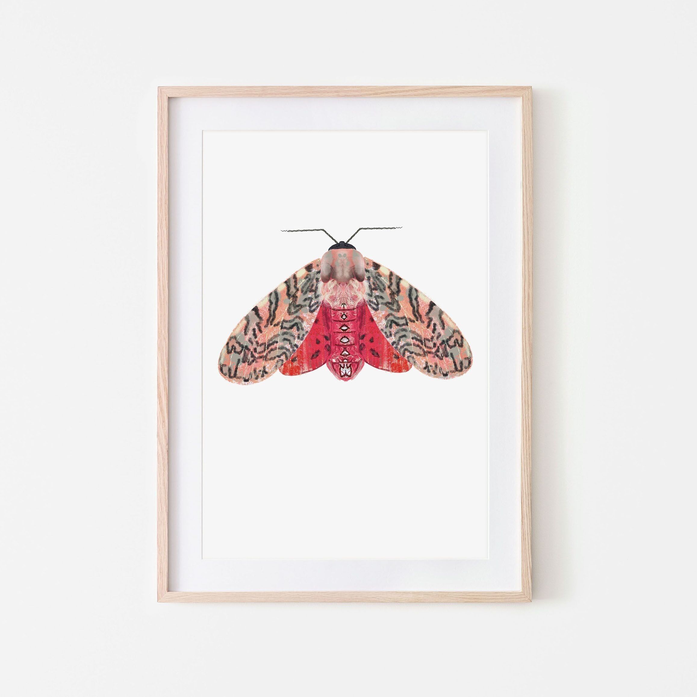 Polilla insecto polilla roja rosa A4 y A3