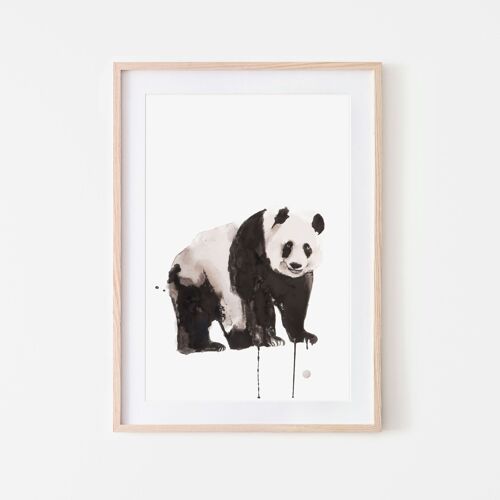 Panda Animals Art Print A3