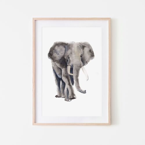 Elephant animals Art print A4