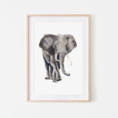 Animali elefanti Stampa artistica A4